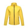 Bright Yellow / Black