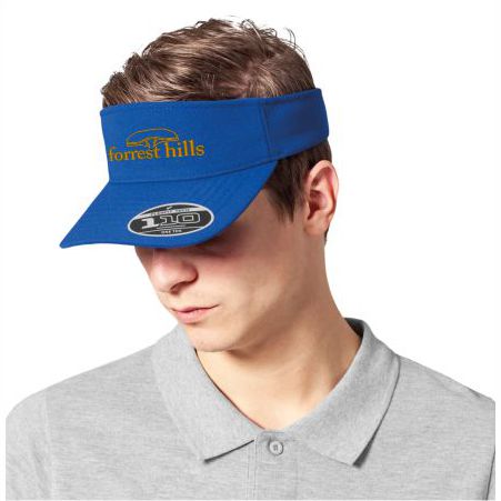 110 Visor